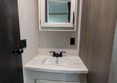 Bathroom Sink and Medicine Cabinet
